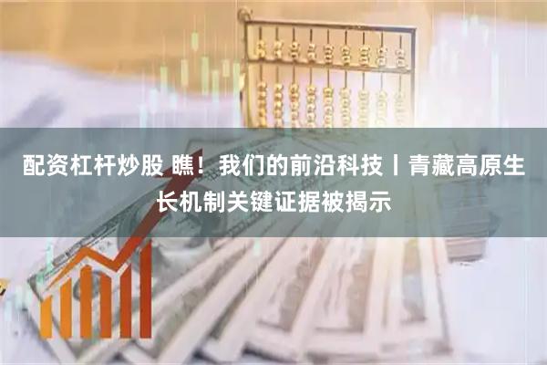 配资杠杆炒股 瞧！我们的前沿科技丨青藏高原生长机制关键证据被揭示