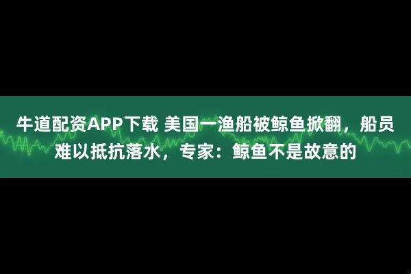 牛道配资APP下载 美国一渔船被鲸鱼掀翻，船员难以抵抗落水，专家：鲸鱼不是故意的