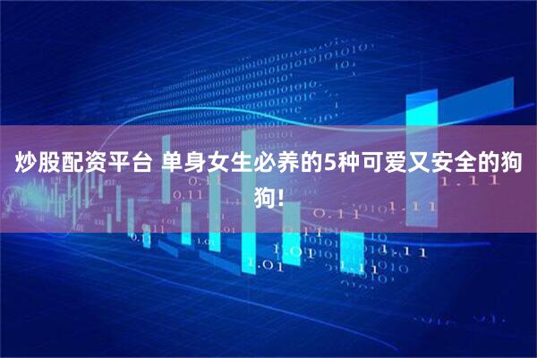 炒股配资平台 单身女生必养的5种可爱又安全的狗狗!