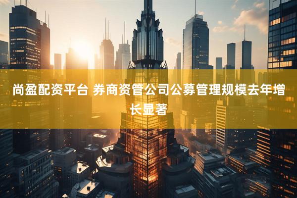 尚盈配资平台 券商资管公司公募管理规模去年增长显著