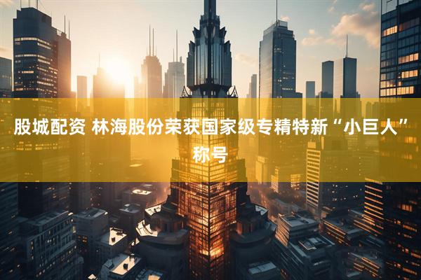 股城配资 林海股份荣获国家级专精特新“小巨人”称号